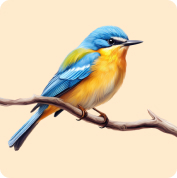 Bird Supplies