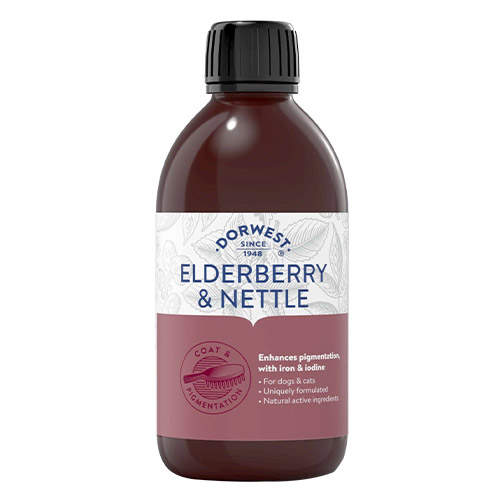 Dorwest Elderberry & Nettle Extract For Dogs And Cats