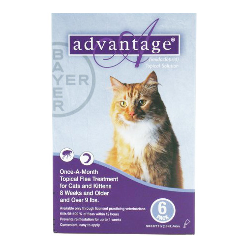 Advantage