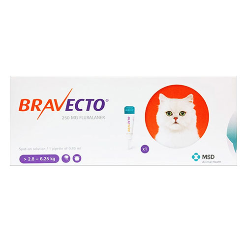 Bravecto Spot-On