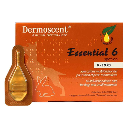 Essential 6