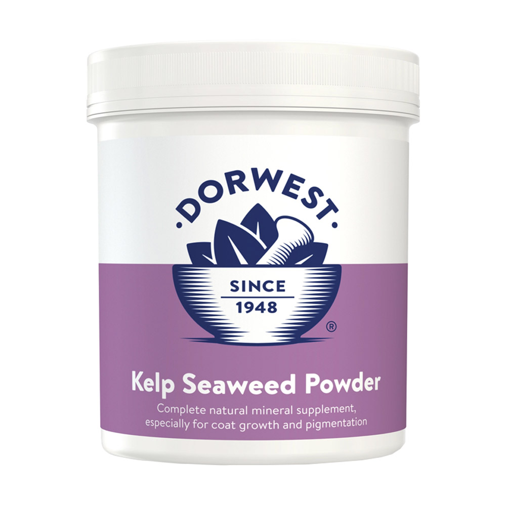 Dorwest Kelp Seaweed Powder