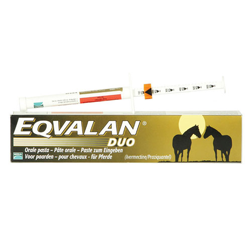 Eqvalan Duo 