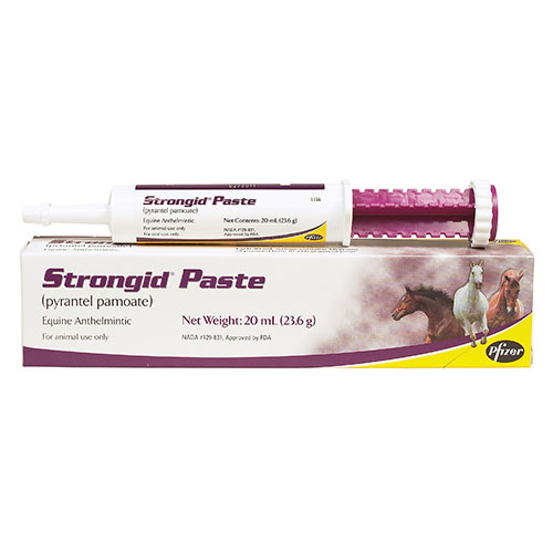 Strongid Caramel Horse Paste Buy Strongid Caramel Horse Paste for