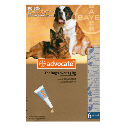 Advantage Multi (Advocate)