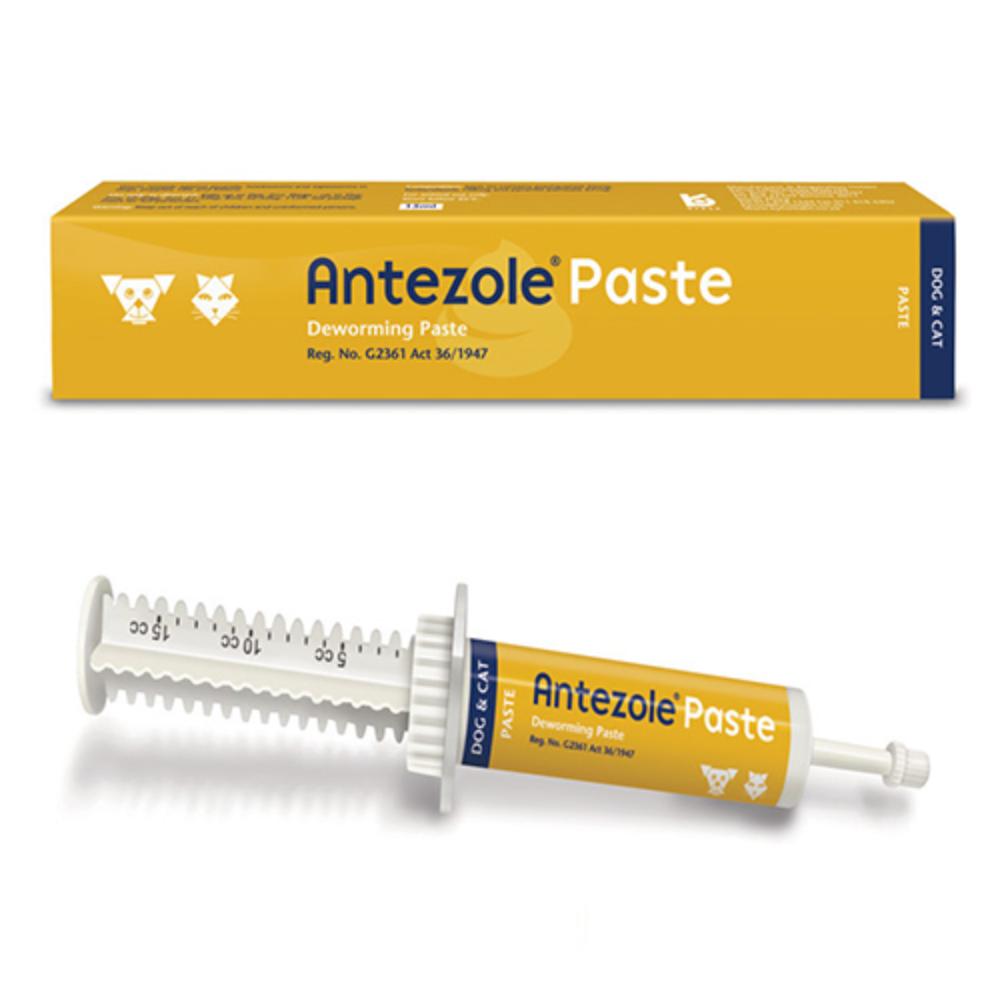 Antezole Paste