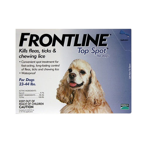 Frontline Top Spot