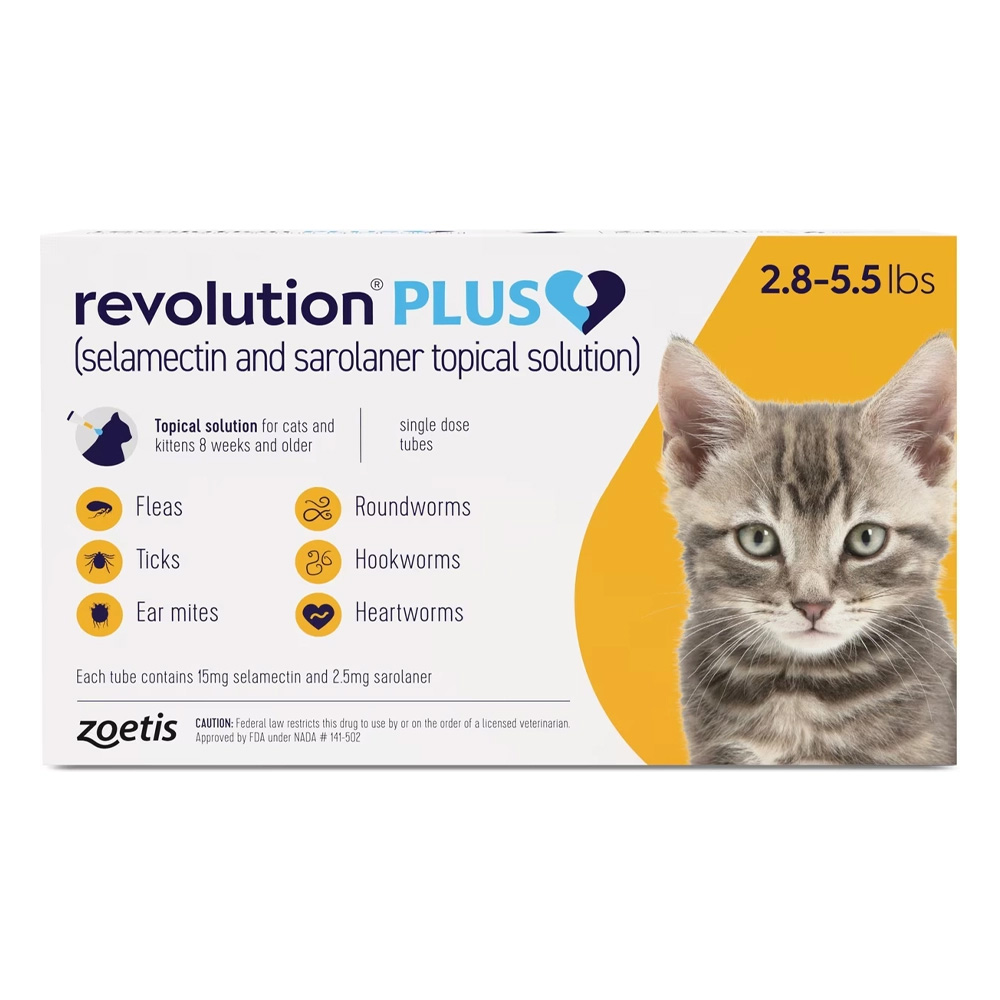 Revolution Plus