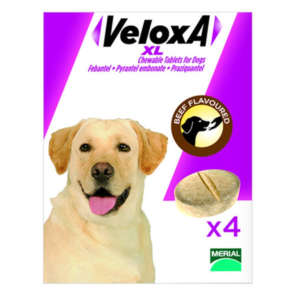 Veloxa