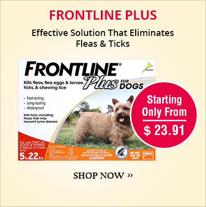 Frontline Plus