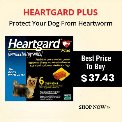 Heartgard Plus