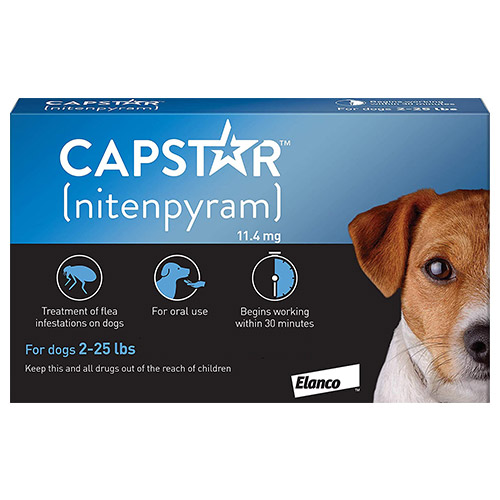 637253641224636307-capstar-dog-blue
