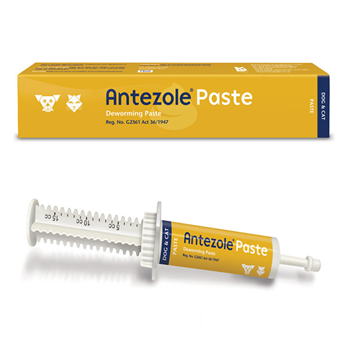 Antezole Paste