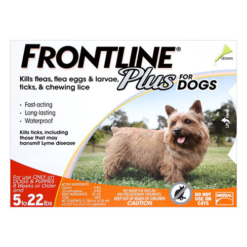 Frontline-Plus-for-Small-Dogs-up-to-22lbs-Orange