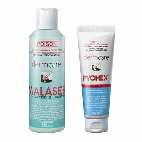 MALASEB COMBO PACK (MALASEB 250ML & PYOHEX 100ML)