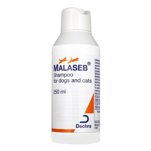 Malaseb Shampoo