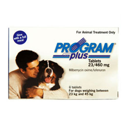 Program Plus