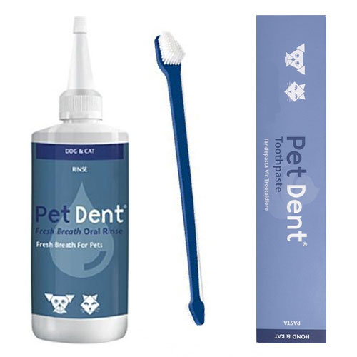 Pet Dent Dental Kit
