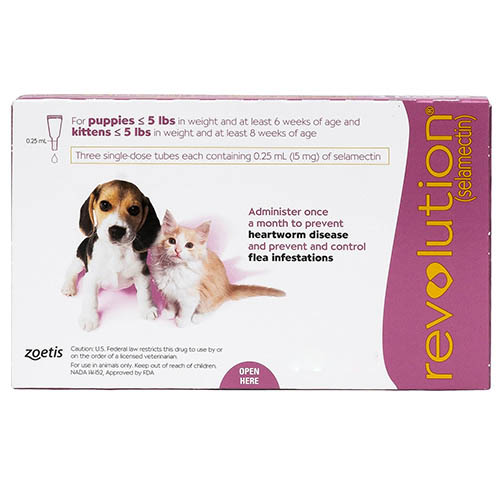 revolution-for-kittens-puppies-pink